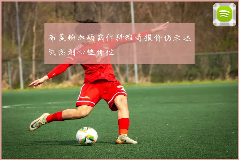 布莱顿加码武什科维奇报价仍未达到热刺心理价位
